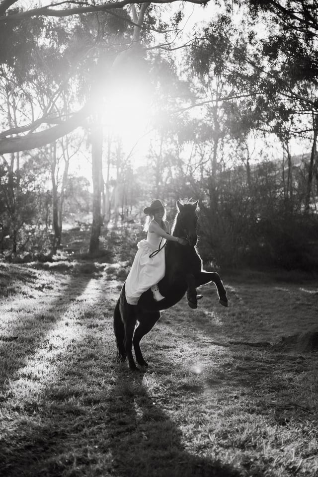 Golden Films wedding photography